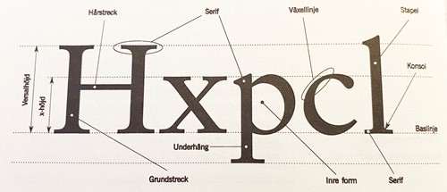 Teckensnittets olika typografiska benämningar