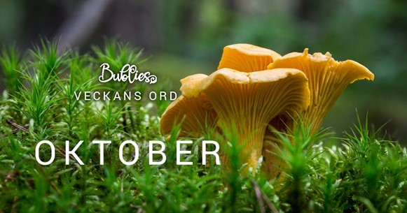 Vad betyder egentligen ordet oktober?